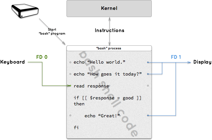 A process is a running program that can relays instructions to the kernel and has input and output connectors called FDs.