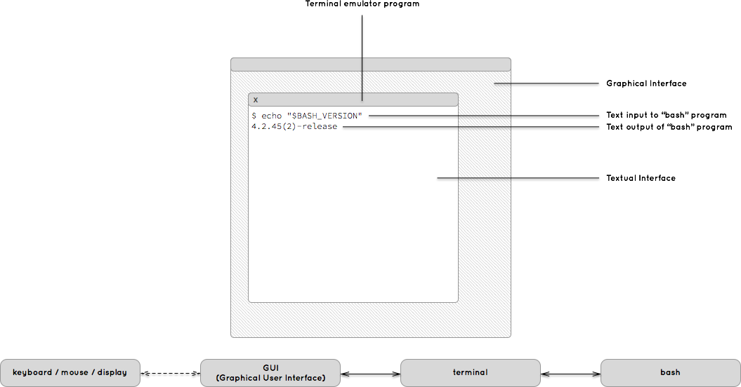The terminal program runs in the GUI, the bash program runs in the terminal.
